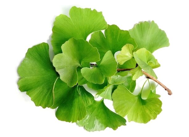 Gluconol conține ginkgo biloba